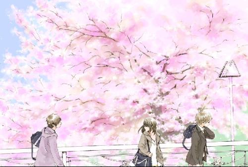 深入了解 蜜芽永不失联2025